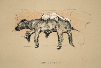 Undulation, 1930, 1e editie van 